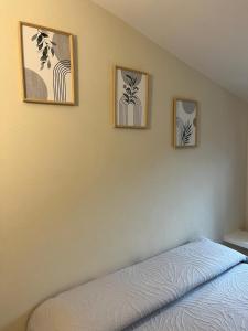 Casa vacanze Conca d Oro