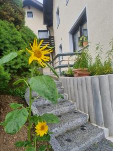 Ferienwohnung Umkreis Sankt Englmar mit vielen Freizeitattraktionen