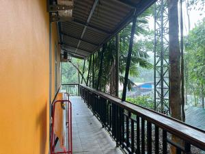 Khao Sok Inn Hostel