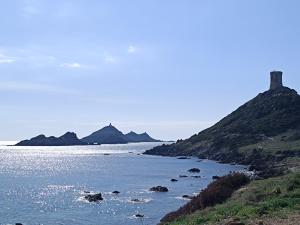 Appartements APPARTEMENT T2 IMPERIAL : photos des chambres