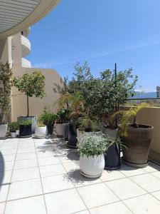 Appartements APPARTEMENT T2 IMPERIAL : photos des chambres