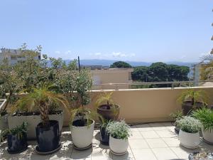 Appartements APPARTEMENT T2 IMPERIAL : Appartement