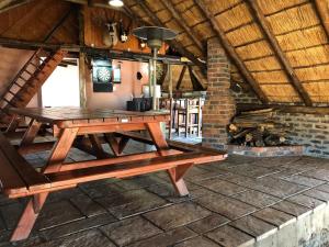 Doringdraad Lodge Nala and Zazu