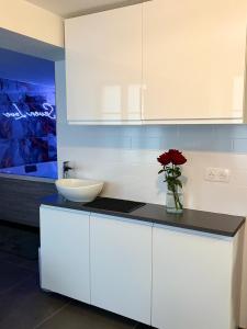 Appartements Seven Love - Private Spa Selestat : photos des chambres