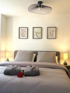 Appartements Seven Love - Private Spa Selestat : photos des chambres