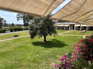 Odeceixe Bungalow-Parque de Campismo Sao Miguel