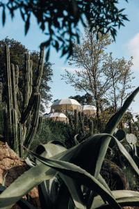 Serra Vida - A Place Of Presence