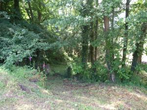 Annexe in rural idyll close to historical site