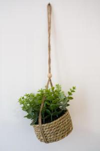 Appartements L-ecrin rose, appartement coeur de ville de Bergerac : photos des chambres