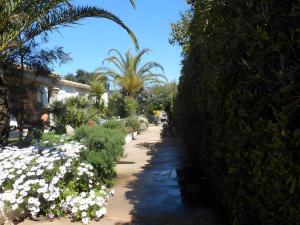 B&B / Chambres d'hotes Chambres de la mer et baldaquin : photos des chambres