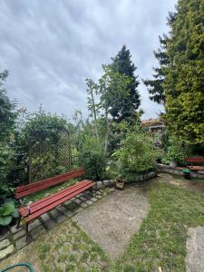 Pokoje pod winogronami