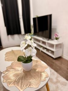 Santa Cosy Villa suite-B Fast Wi-Fi, Netflix Included Split system Air-con & Hot Shower Close to Enchanted Kingdom