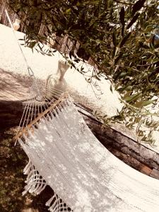 B&B / Chambres d'hotes Domaine FINCA LESSYA, Lodge insolite & SPA : photos des chambres