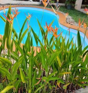 Villa Pacifique, maison spacieuse meublée, logement entier,piscine privee