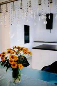 Świętokrzyski klimacik