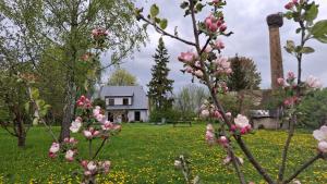 Nature Lovers House