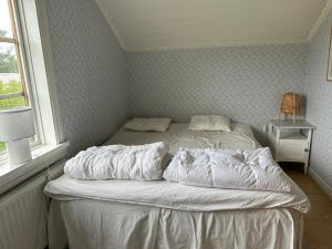 Stuga nära sjö och skog