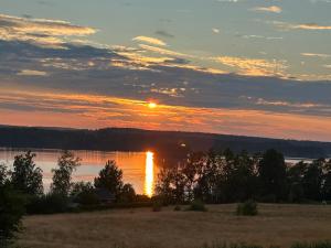 Stuga nära sjö och skog