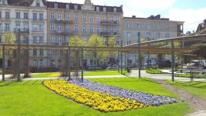 Apartament Centrum