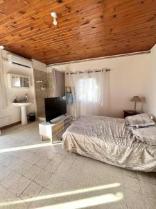 Large apartment in Lavatoggio