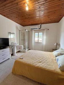 Large apartment in Lavatoggio