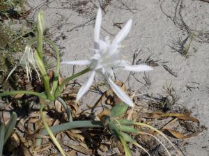 Residence Marina Palace img25