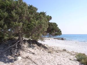 Residence Marina Palace img26