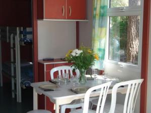 Campings Chalet Confort pour 5 avec Terrasse a Beaumont-du-Perigord - API-1-52-192 : Chalet