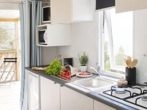 Mobil home avec Terrasse - 4 pers, 2 chambres - API-1-52-246