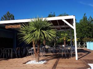 Mobil home avec Terrasse - 4 pers, 2 chambres - API-1-52-246