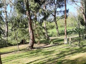 Campings Mobil home avec Terrasse - 4 pers, 2 chambres - API-1-52-246 : photos des chambres