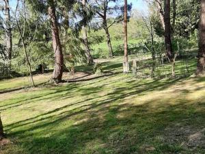 Campings Mobil home avec Terrasse - 4 pers, 2 chambres - API-1-52-246 : photos des chambres