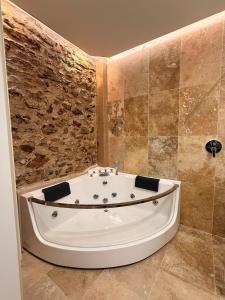 Appartements Studio avec spa et balneotherapie : photos des chambres