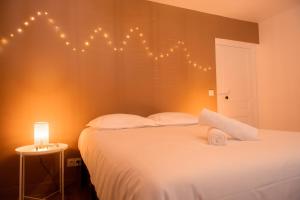 Appartements Les Cles de Touraine- Sejour convivial entre amis : photos des chambres