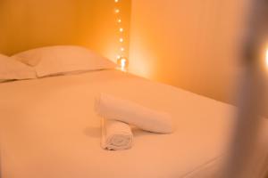 Appartements Les Cles de Touraine- Sejour convivial entre amis : photos des chambres