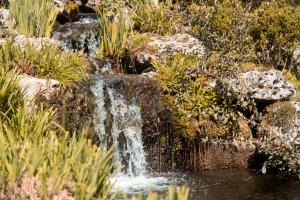 Appartements Les Cles de Touraine- Sejour convivial entre amis : photos des chambres