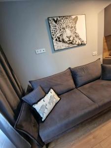 Trumpalaikė buto nuoma Plungėje STUDIJA C