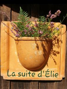 La suite dÉlie