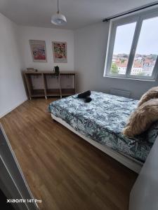 Appartements Grand appartement lumineux opaline : photos des chambres