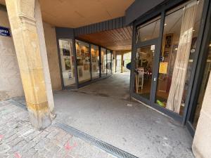 Appartements Le petit Taison - Metz Hyper center : photos des chambres