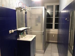 Appartements Gite de la Tour in Kaysersberg with Parking : photos des chambres