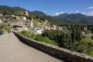 Appartement Lumière & Nature Cœur d Albitreccia