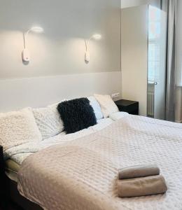 Apartament VIS a VIS Koziołków