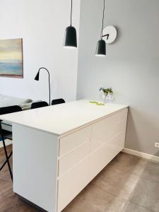 Apartament VIS a VIS Koziołków