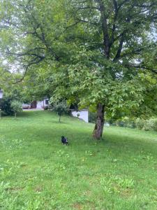 Retreat House River Krka - Hiša oddiha reka Krka 