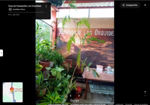 Hostal las orquideas