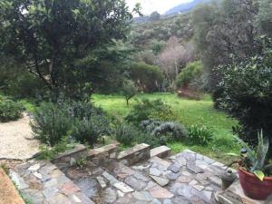 Appartements Agreable bas de villa : photos des chambres