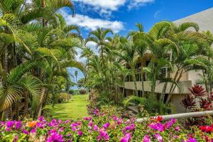 Special Sale! Luxury 1BD Condo with Ocean Views