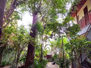 Casa com amplo quintal, a paz ao lado do Centro