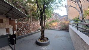 Casa com amplo quintal, a paz ao lado do Centro